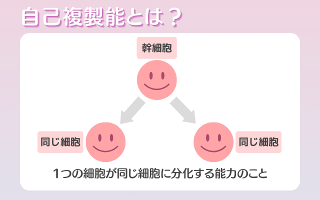 自己複製能