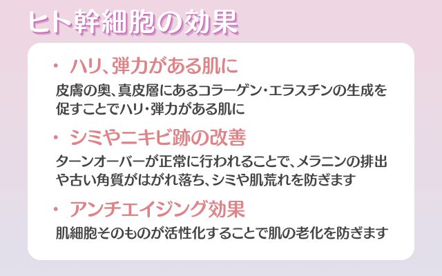ヒト幹細胞美容液に期待できる効果
