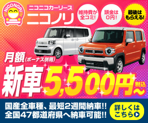 ニコノリ新車