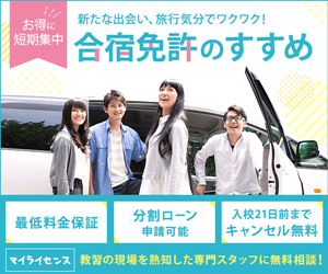マイライセンス