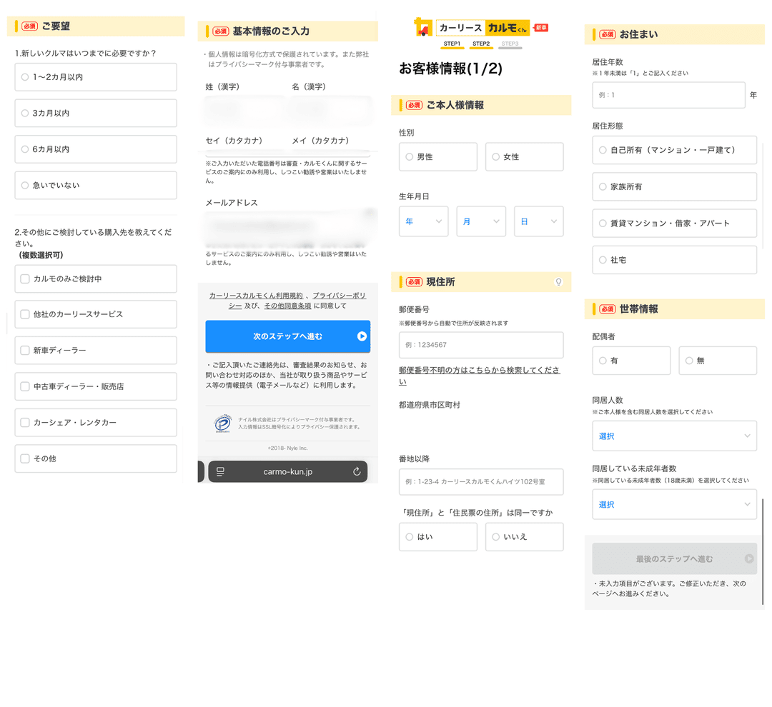 レビュー‗WEB申込画面1